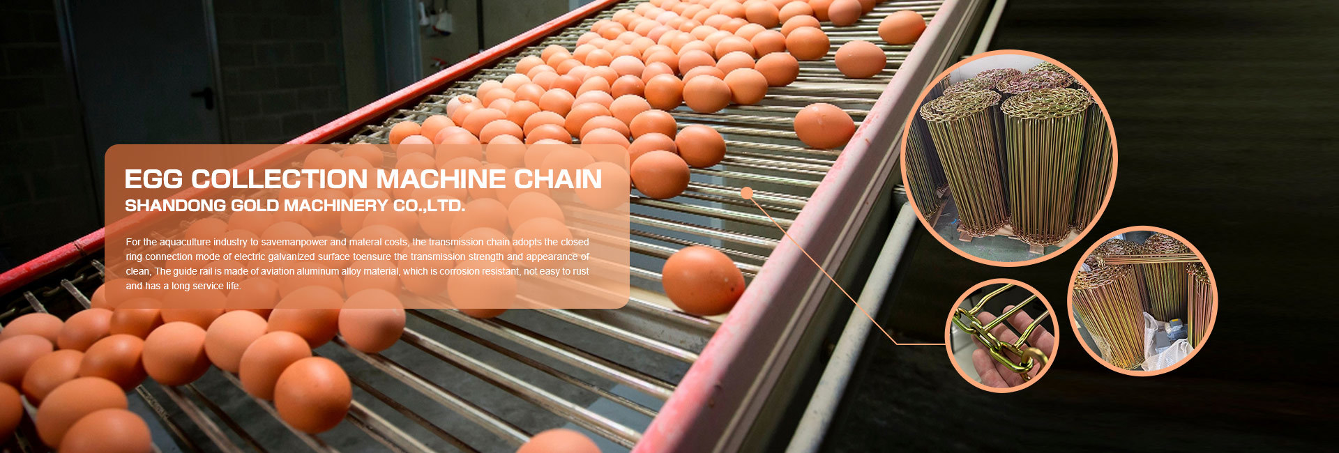 Egg Collection Machine chain