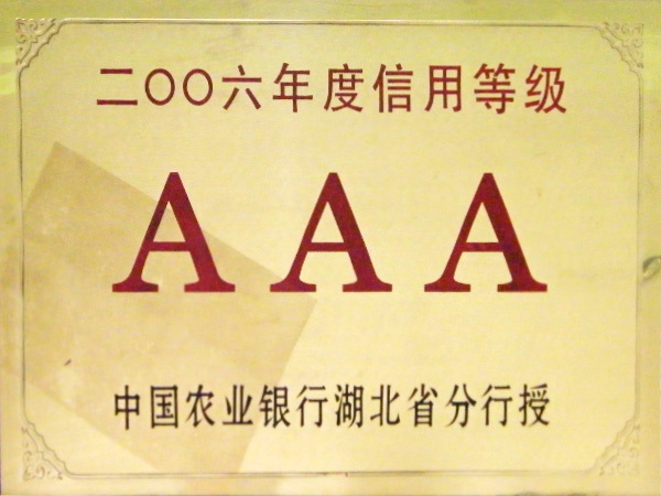 2006年度3A信用等級