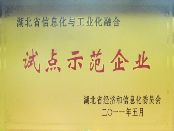 試點示范企業(yè)