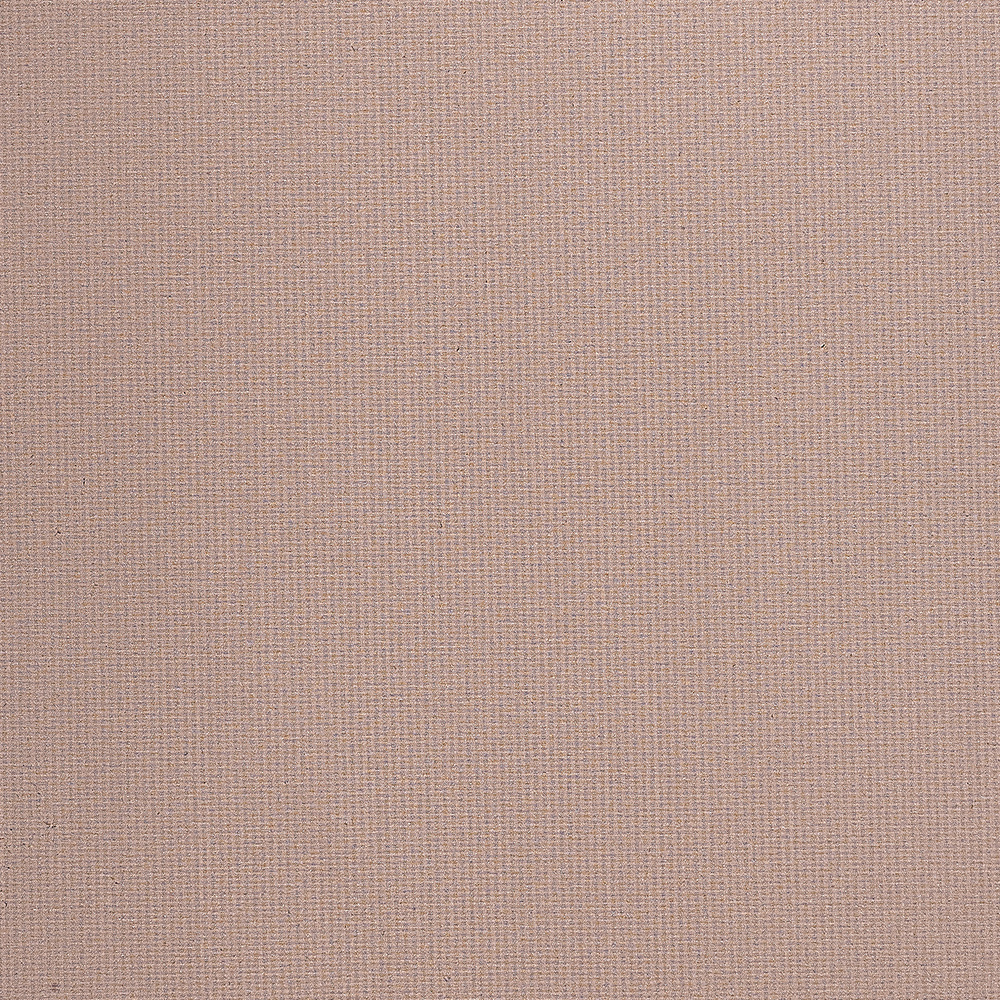 ZJDB2117