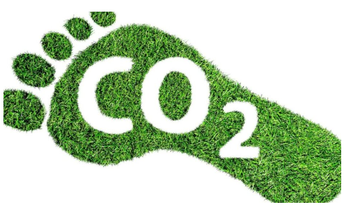 Going Carbon Neutral