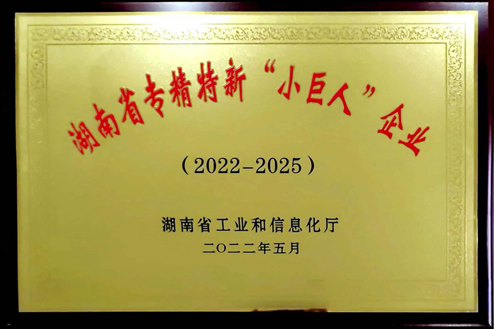 衡陽盛亞2022年榮獲湖南省專精特新“小巨人”企業(yè)