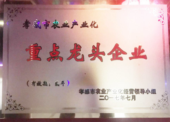 孝感市農(nóng)業(yè)產(chǎn)業(yè)化重點(diǎn)龍頭企業(yè)