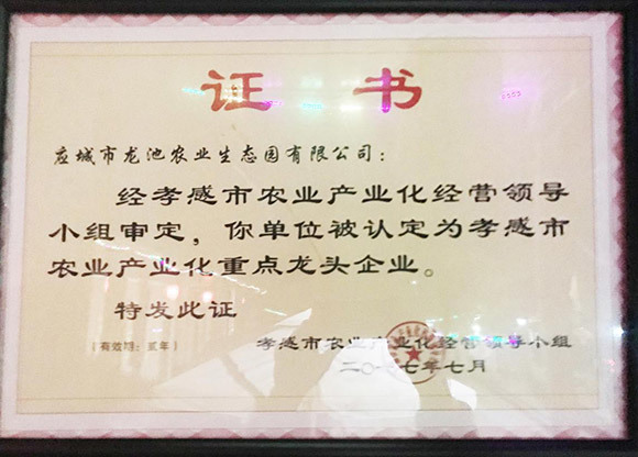 孝感市農(nóng)業(yè)產(chǎn)業(yè)化重點(diǎn)龍頭企業(yè)