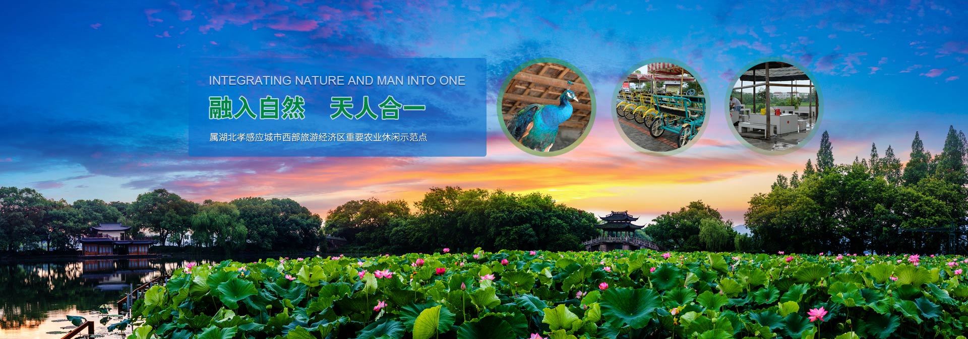 應(yīng)城市龍池農(nóng)業(yè)生態(tài)園有限公司