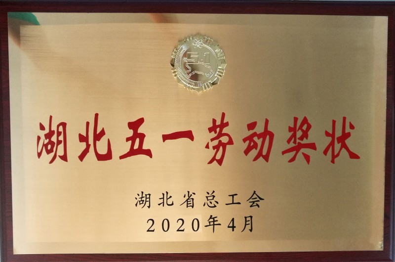 2020五一劳动奖状 2020五一劳动奖状