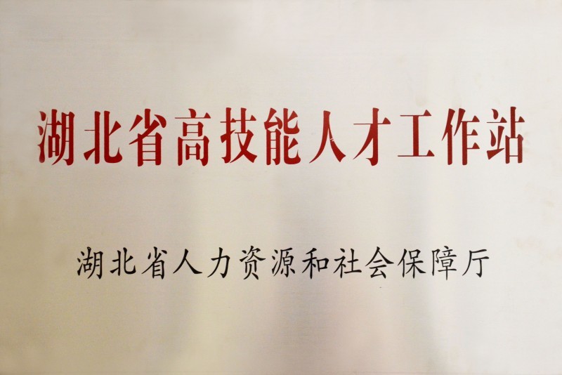 湖北省高技能人才工作站