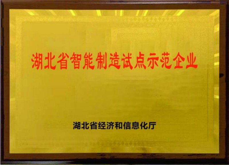 湖北省智能制造试点示范企业 湖北省智能制造试点示范企业