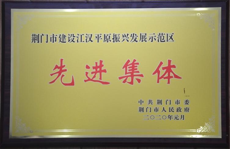 荆门市建设江汉平原振兴发展示范区先进集体 荆门市建设江汉平原振兴发展示范区先进集体