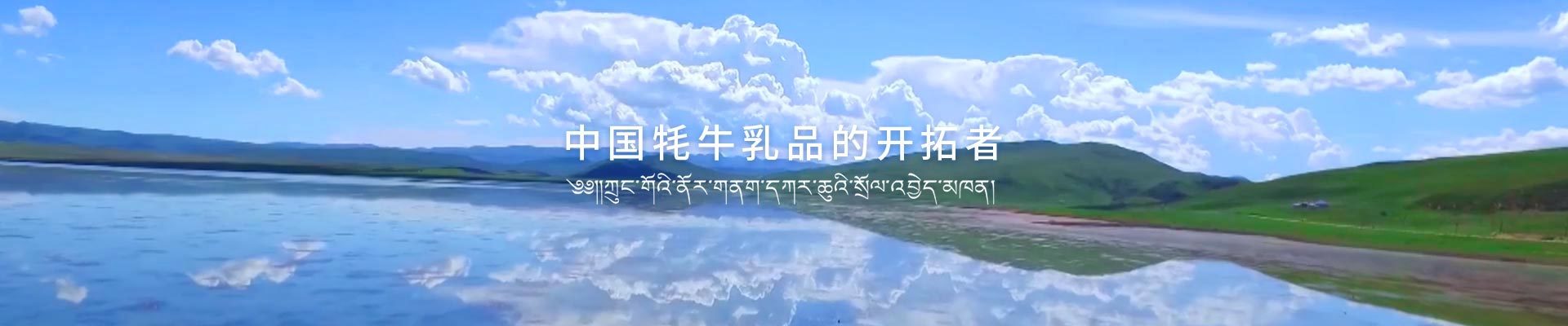 聯(lián)系我們