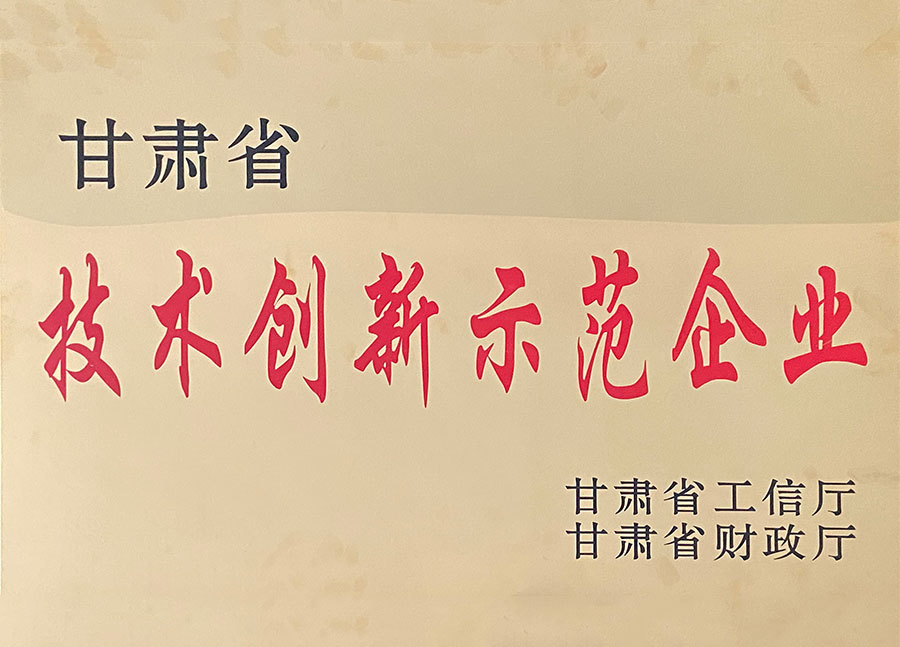 甘肅省技術(shù)創(chuàng)新示范企業(yè)