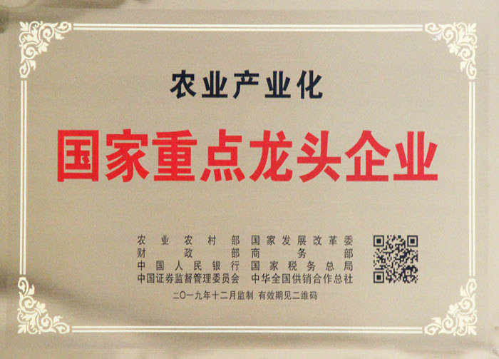 國家重點龍頭企業(yè)