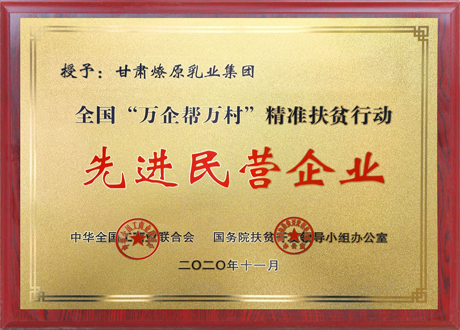全國“萬企幫萬村”先進(jìn)民營企業(yè)