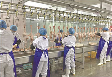 肉类屠宰场
