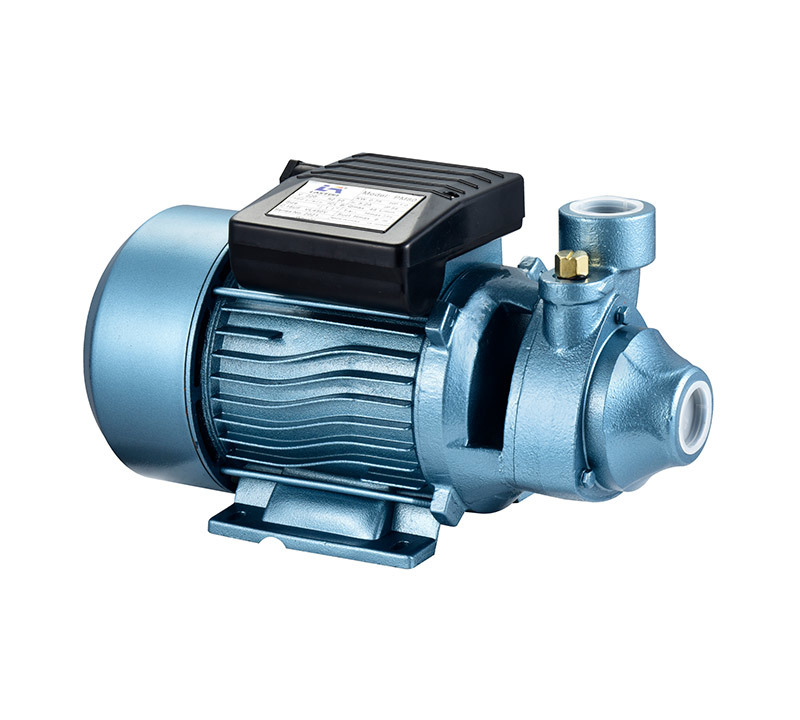 PM electric clean water pump