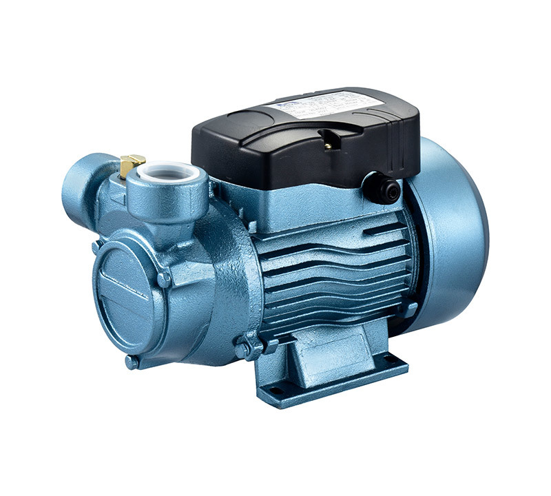 LQ-60 electric clean water pump