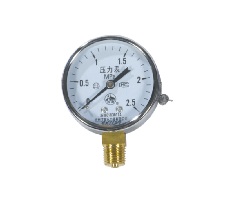 Pressure Gauge Y60