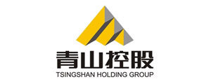 TSINGSHAN HOLDING GROUP