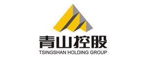 TSINGSHAN HOLDING GROUP