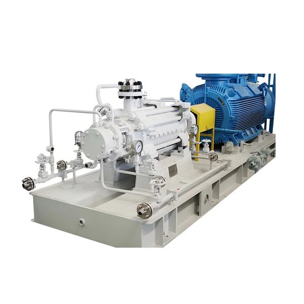 Worthington® HNN API Process Pumps
