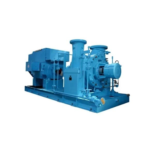 Worthington® HDXN Double Supported Pumps