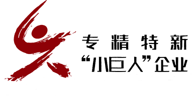 專(zhuān)精特新 專(zhuān)精特新