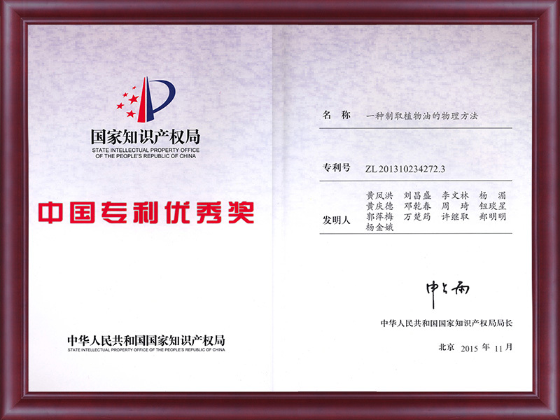 China Patent Excellence Award