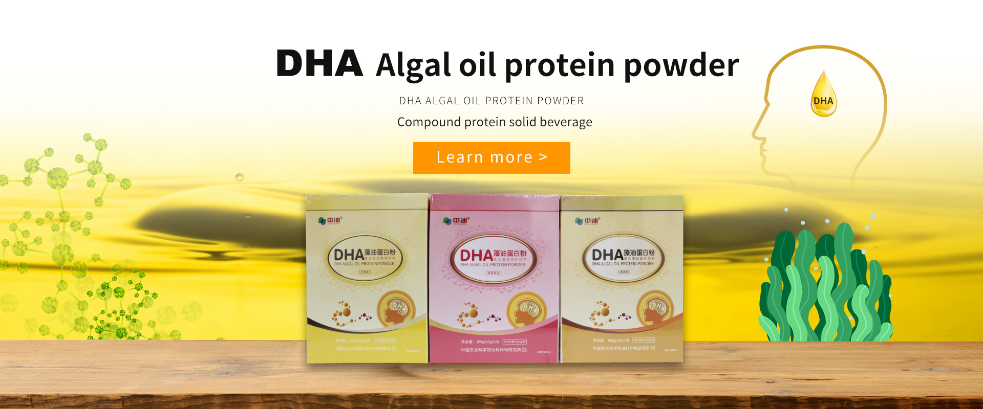 DHA Algal Oil Protein Powder