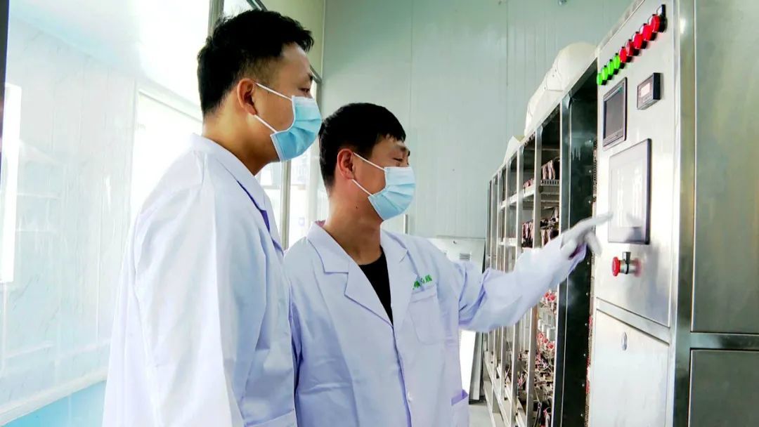 科技赋能促进农产品提质增值