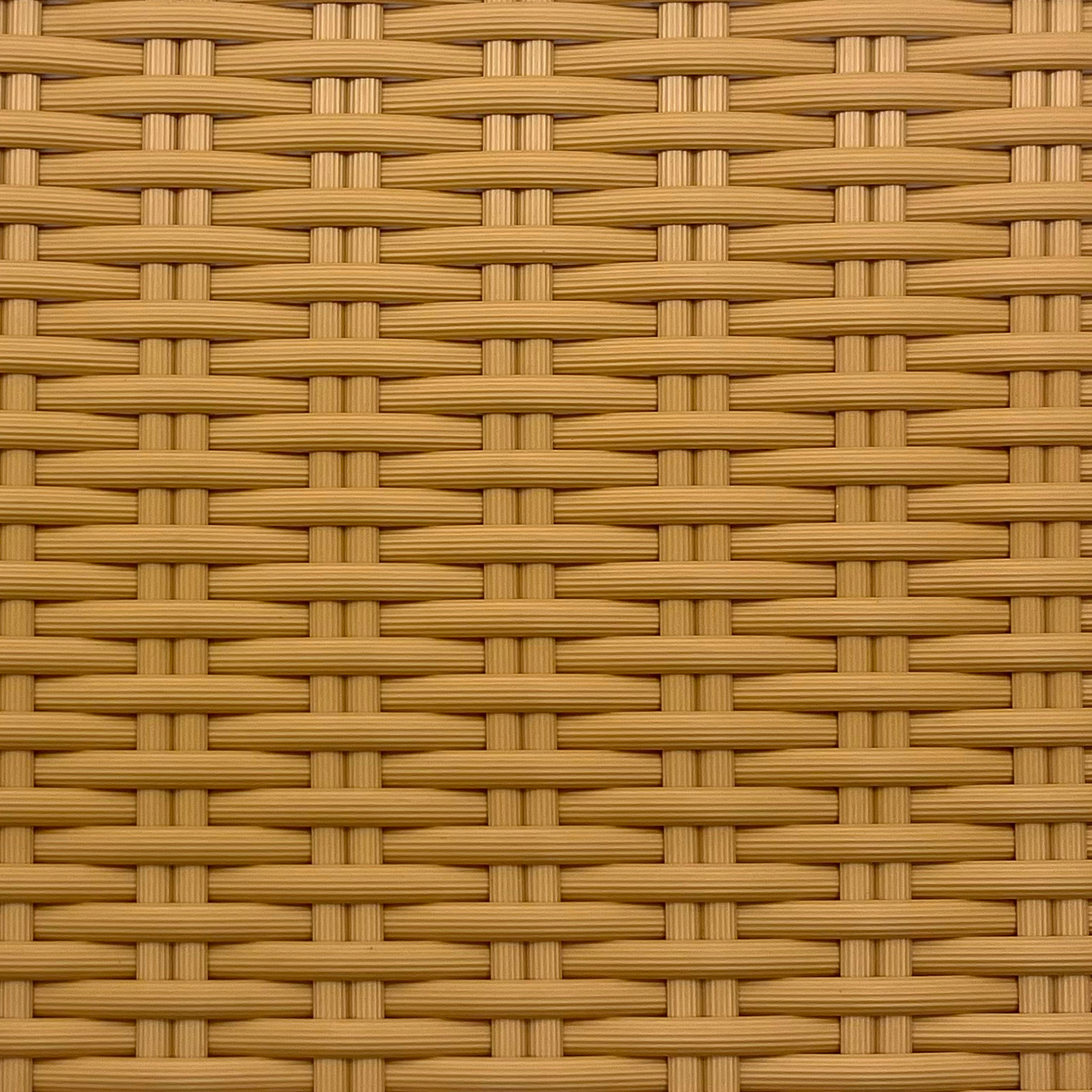 3-TT02-00000242