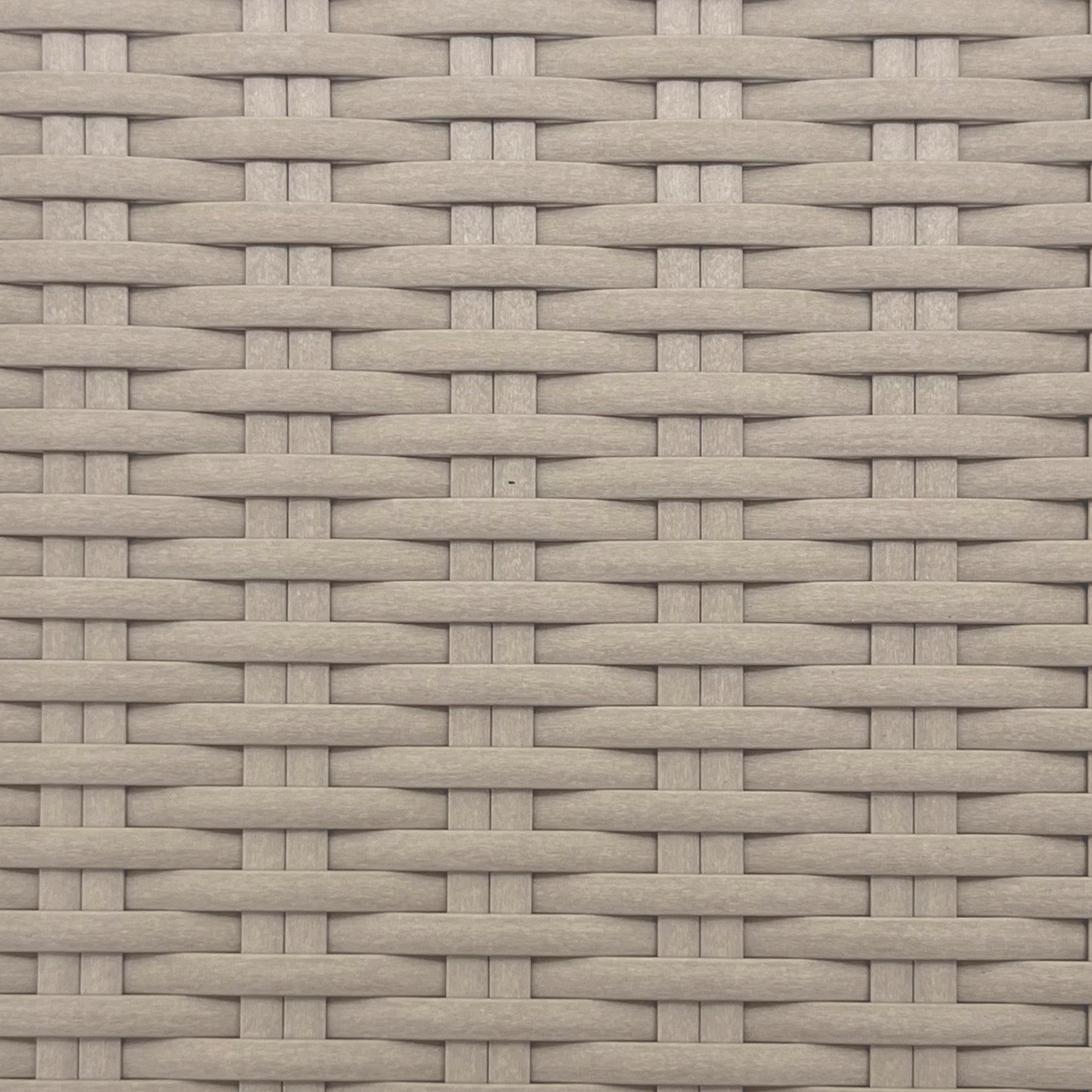 3-TT02-00000239