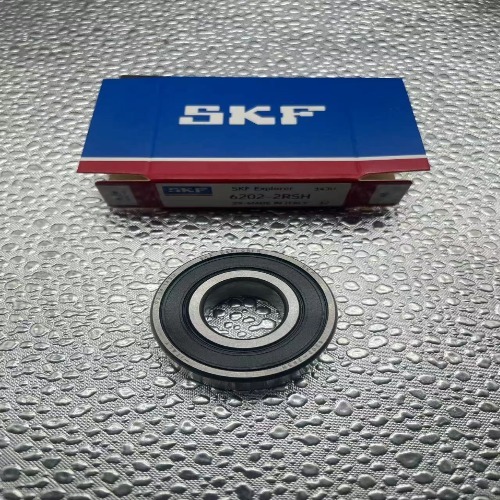 SKF 6202