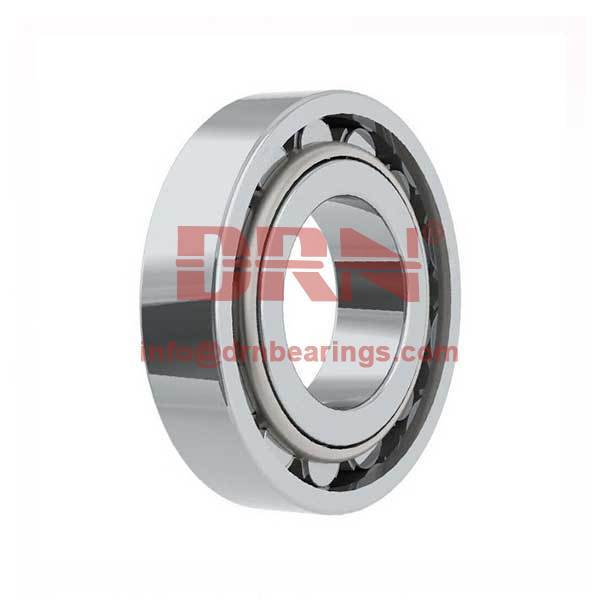 N series cylindrical roller bearings