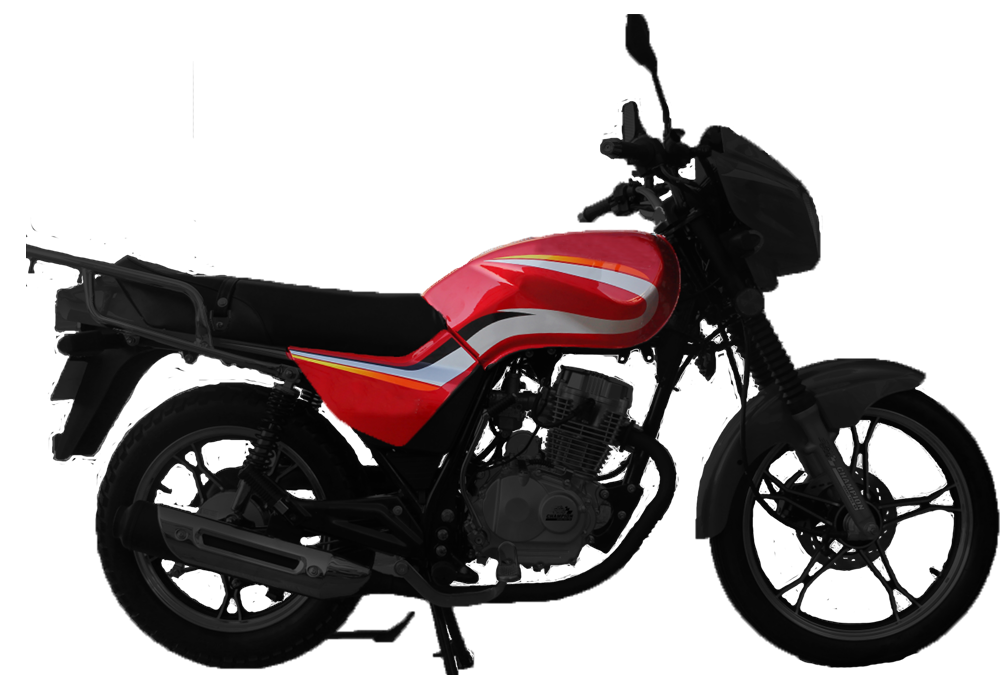 Suzuki King series