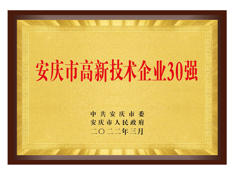 安慶市高新技術(shù)企業(yè)30強(qiáng)