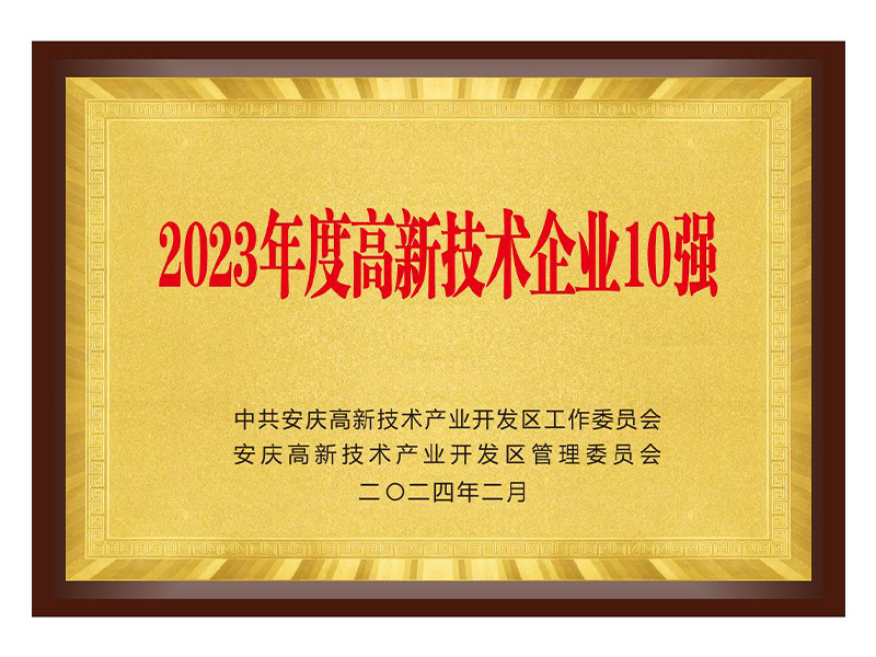 2023年度高新技術(shù)企業(yè)10強