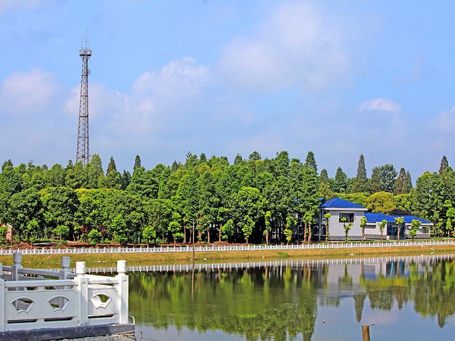 湖北省洪湖分蓄洪區(qū)福田寺節(jié)制閘除險加固工程二期