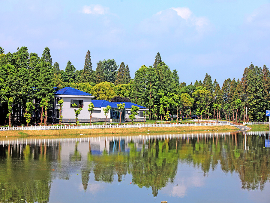 湖北省洪湖分蓄洪區(qū)福田寺節(jié)制閘除險加固工程二期