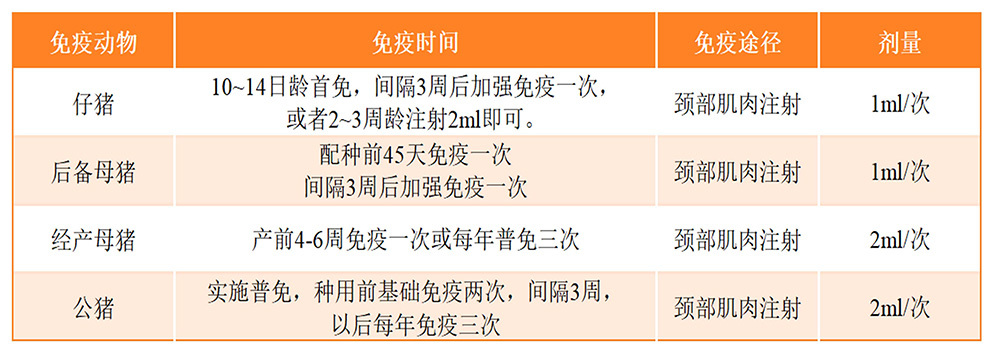 豬圓環病毒