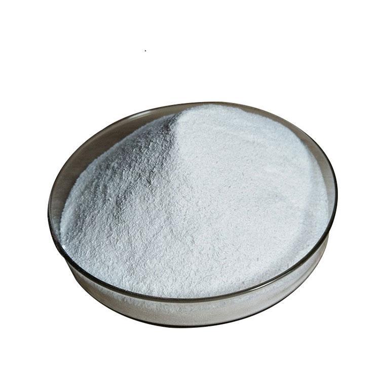 Albumin polypeptide