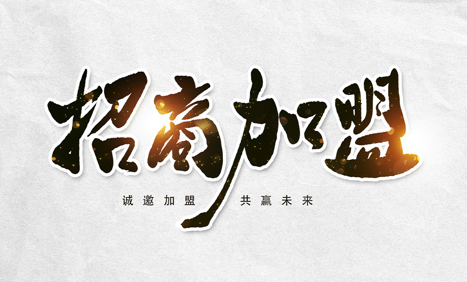 公司优势 公司优势