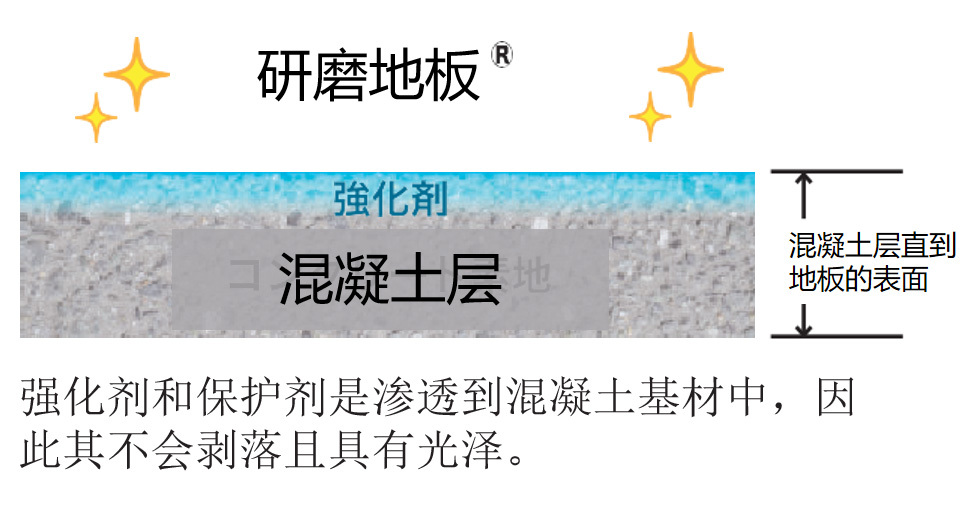 广州新东 广州新东