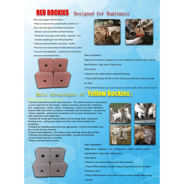 RED ROCKIES