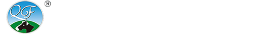 Qingfeng