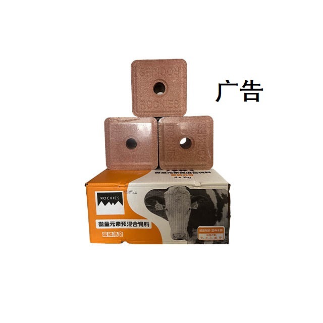 富磷洛奇舔磚