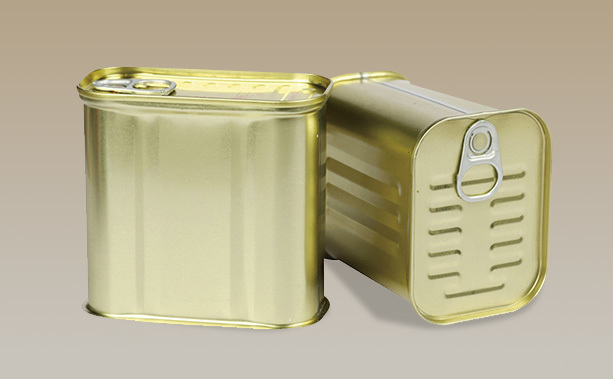 Special-shaped cans