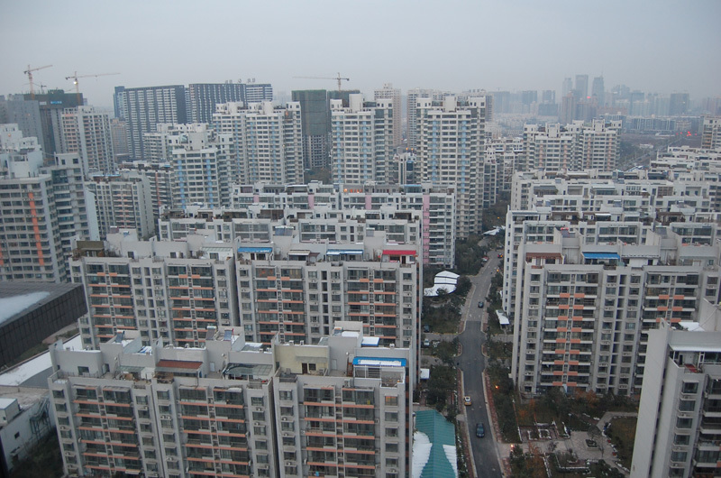 楓林綠洲