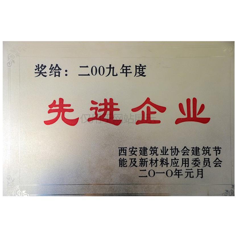 2009年度先進(jìn)企業(yè)