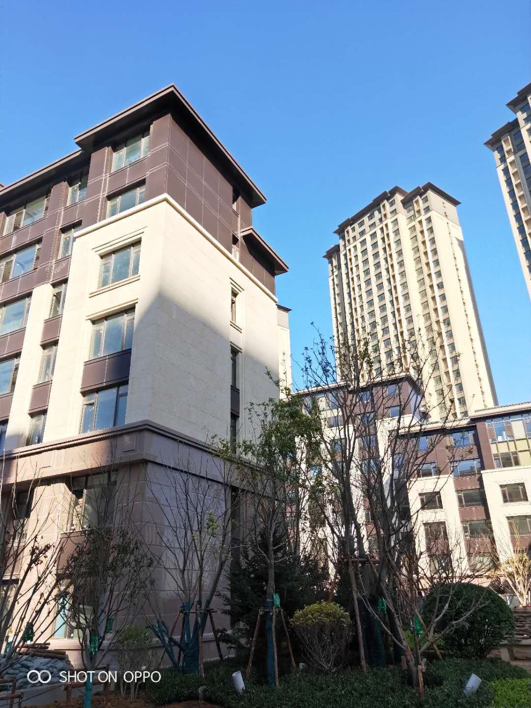 大連恒大