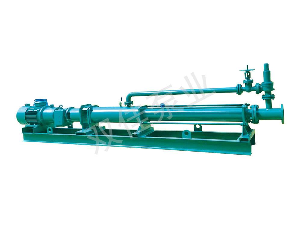 Double-disc filter press dedicated screw pump